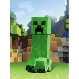 Creeper Costume - Minecraft Fancy Dress