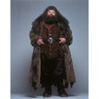 Rubeus Hagrid Costume - Harry Potter Fancy Dress