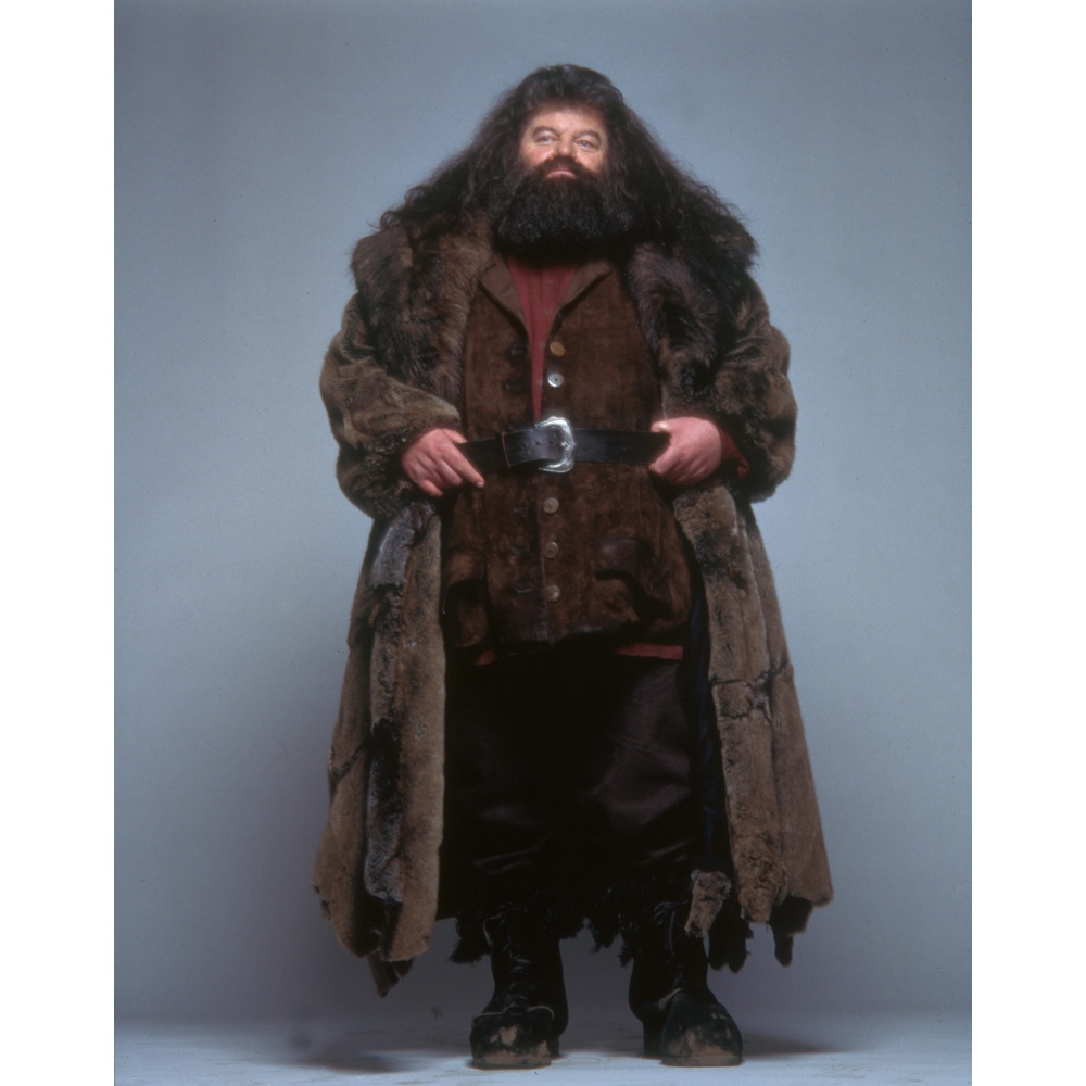 Rubeus Hagrid Costume - Harry Potter - Fancy Dress - Cosplay - Pants