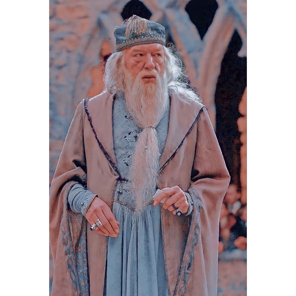 Albus Dumbledore Costume - Harry Potter Fancy Dress - Cosplay - Robe
