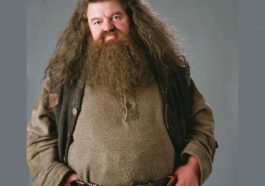 Rubeus Hagrid Costume - Harry Potter - Fancy Dress - Cosplay