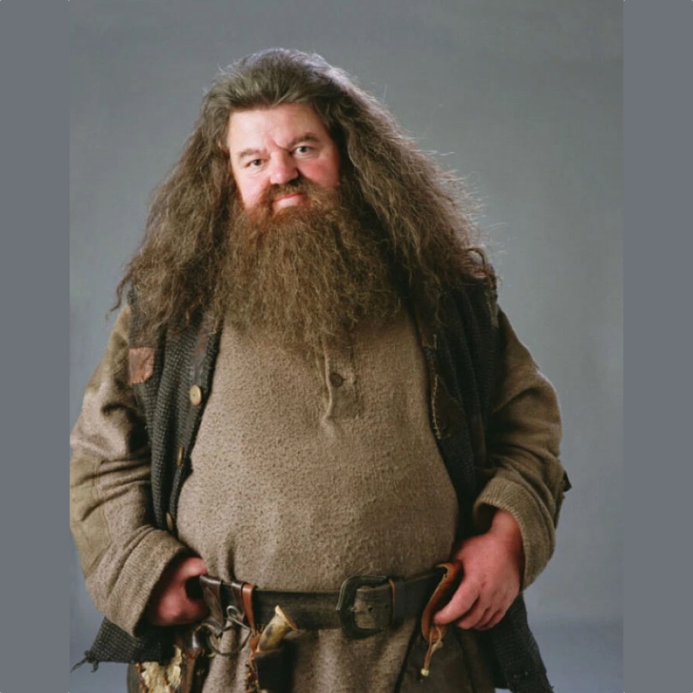 Rubeus Hagrid Costume - Harry Potter Fancy Dress