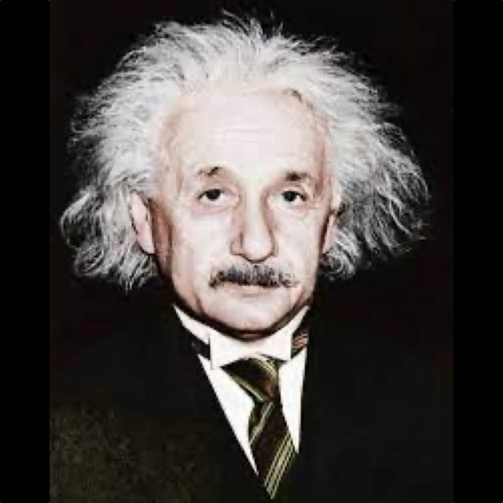 Albert Einstein Costume - Fancy Dress Ideas