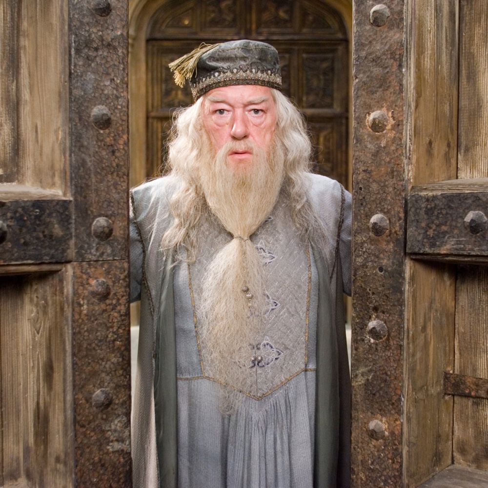 Albus Dumbledore Costume - Harry Potter Fancy Dress - Cosplay - Shirt