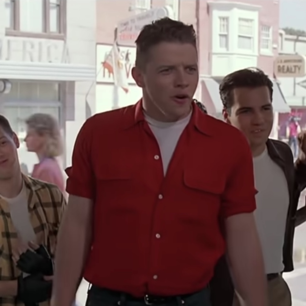 Biff Tannen Costume - Fancy Dress - Back to the Future Cosplay - Shirt