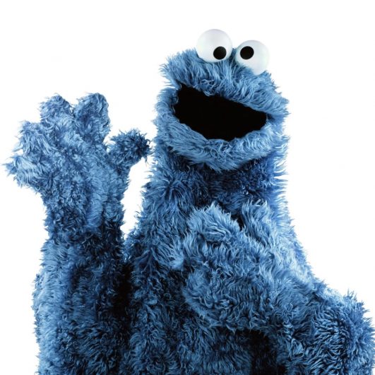 Cookie Monster Costume - Sesame Street Fancy Dress