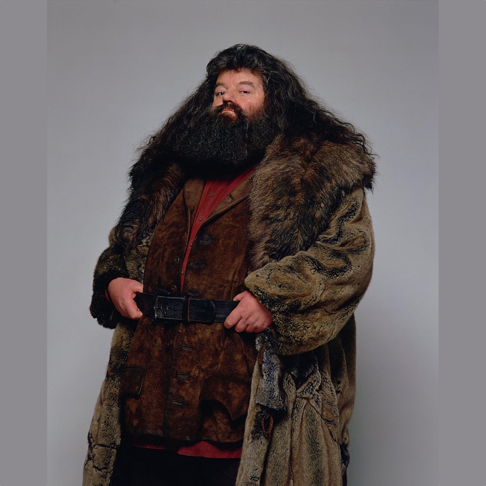 Rubeus Hagrid Costume - Harry Potter - Fancy Dress - Cosplay - Shirt