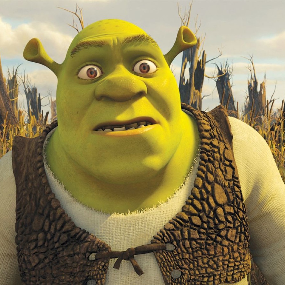 Shrek Costume - Fancy Dress - Cosplay - Shirt