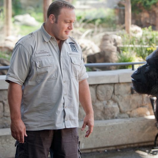 Zookeeper Costume Easy and Quick Fancy Dress Ideas