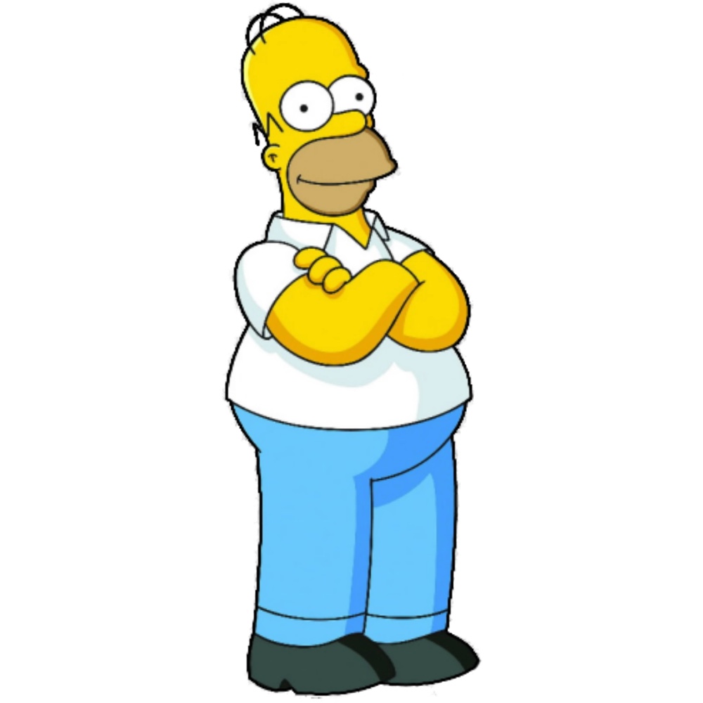 Homer Simpson Costume - The Simpsons Fancy Dress - Cosplay - Shoes