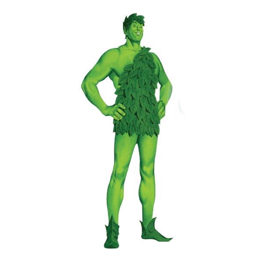 Jolly Green Giant Costume - Fancy Dress Cosplay - Elf Shoes