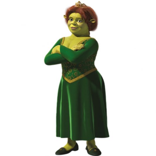 Princess Fiona Costume - Shrek Fancy Dress Ideas