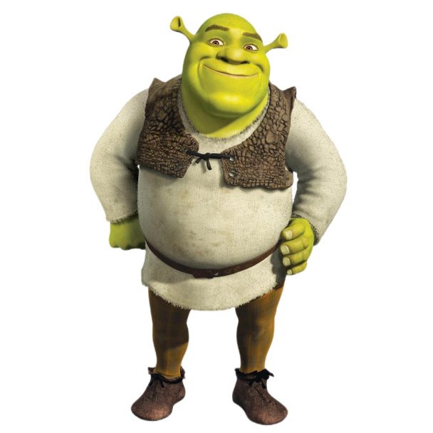 Shrek and Fiona Costume - Fancy Dress Ideas