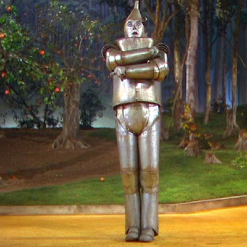 Tin Man Costume - The Wizard of Oz Fancy Dress - Cosplay - Shoes