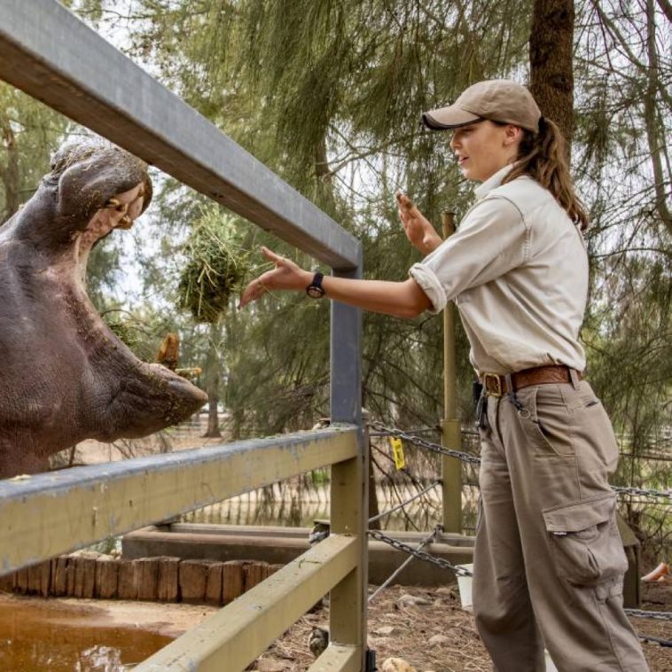 Zookeeper Costume - Easy and Quick Fancy Dress Ideas