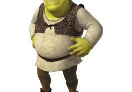 Shrek Costume - Fancy Dress - Cosplay