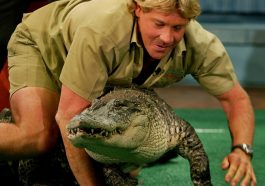 Steve Irwin Crocodile Hunter Costume - Cosplay - Fancy Dress