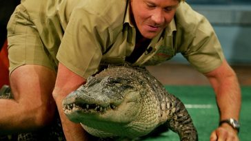 Steve Irwin Crocodile Hunter Costume - Cosplay - Fancy Dress