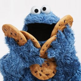 Cookie Monster Costume - Sesame Street Fancy Dress