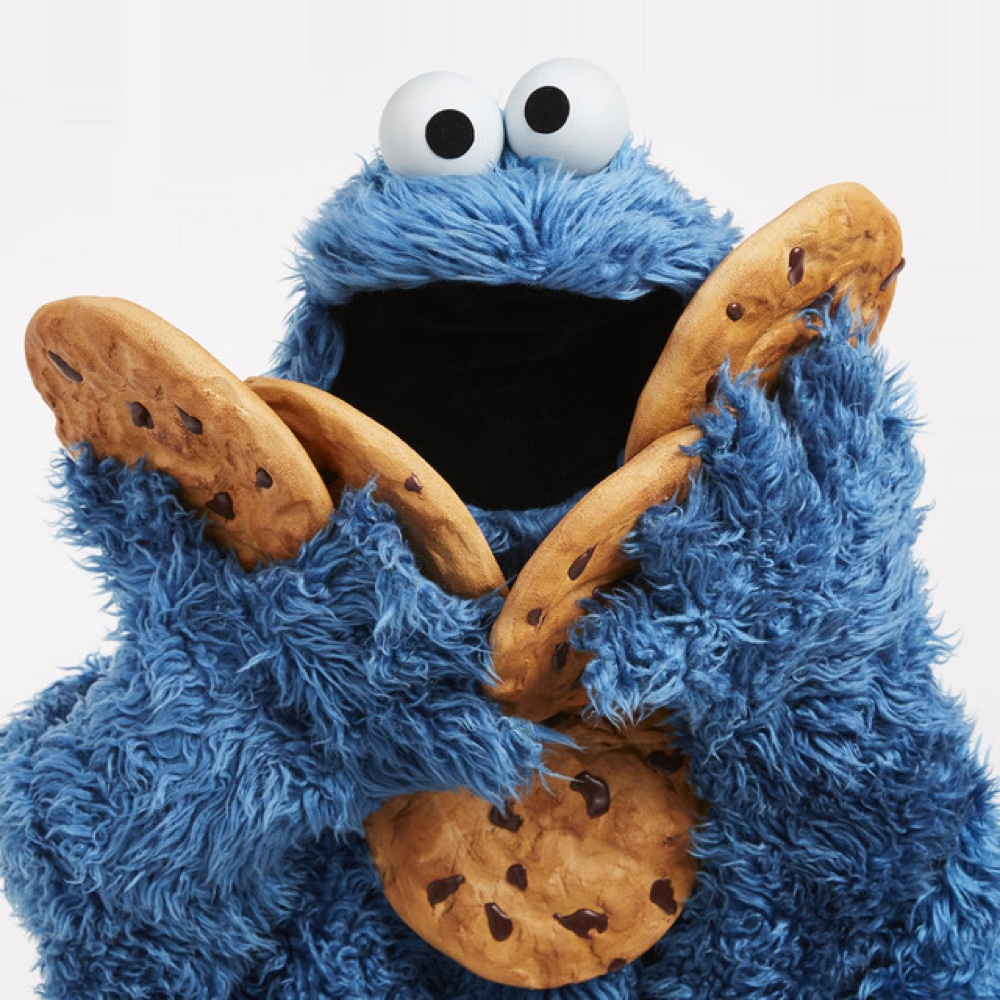 Cookie Monster Costume - Sesame Street Fancy Dress - Cosplay - Sticker - Cookie Prop