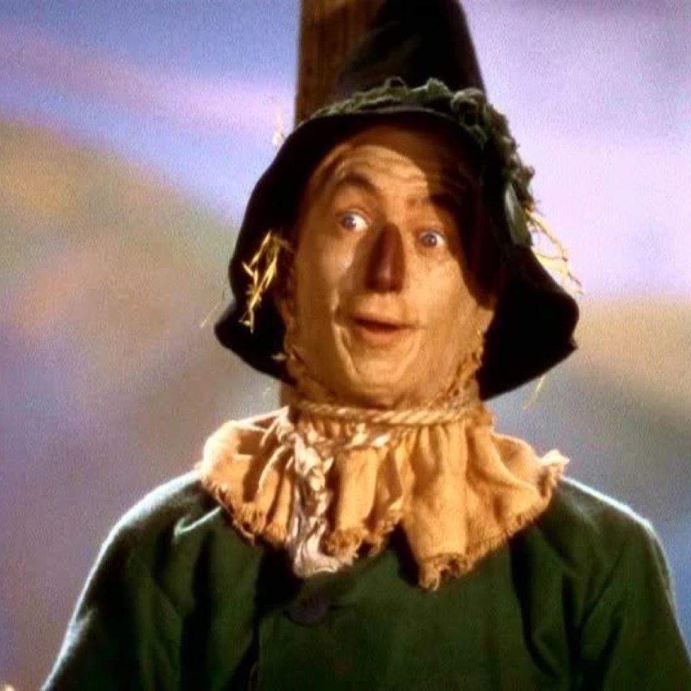 Scarecrow Costume - The Wizard of Oz - Fancy Dress - Cosplay - Straw