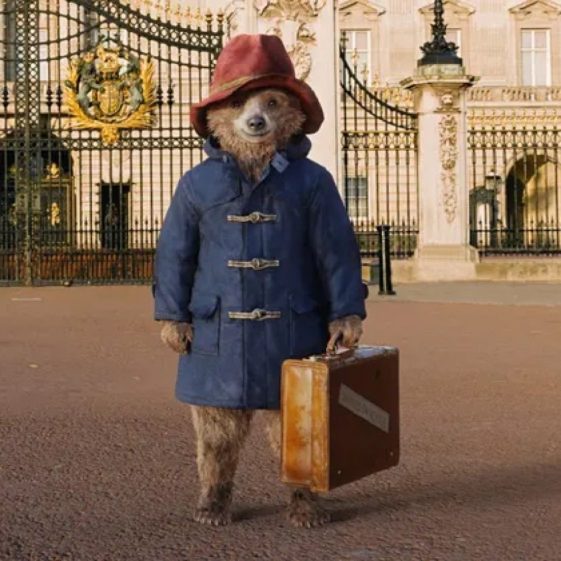 Paddington Bear Costume Fancy Dress