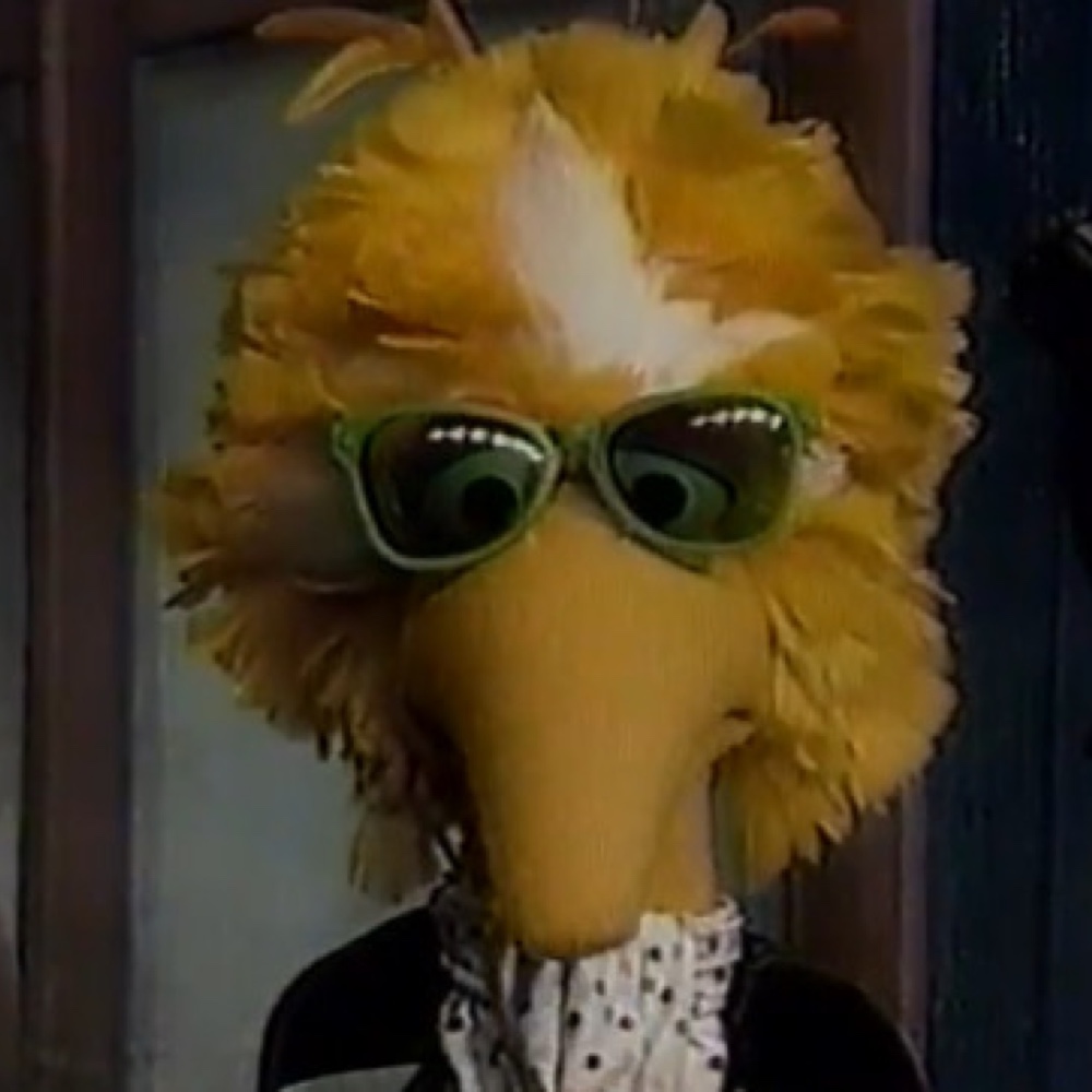 Big Bird Costume - Sesame Street Fancy Dress - Cosplay - Sunglasses