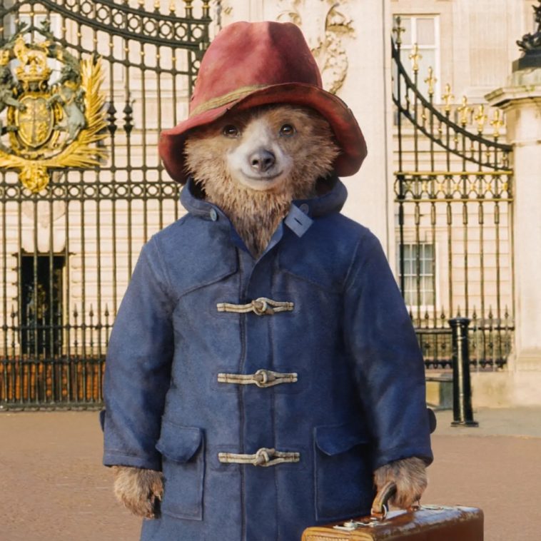 Paddington Bear Costume Fancy Dress