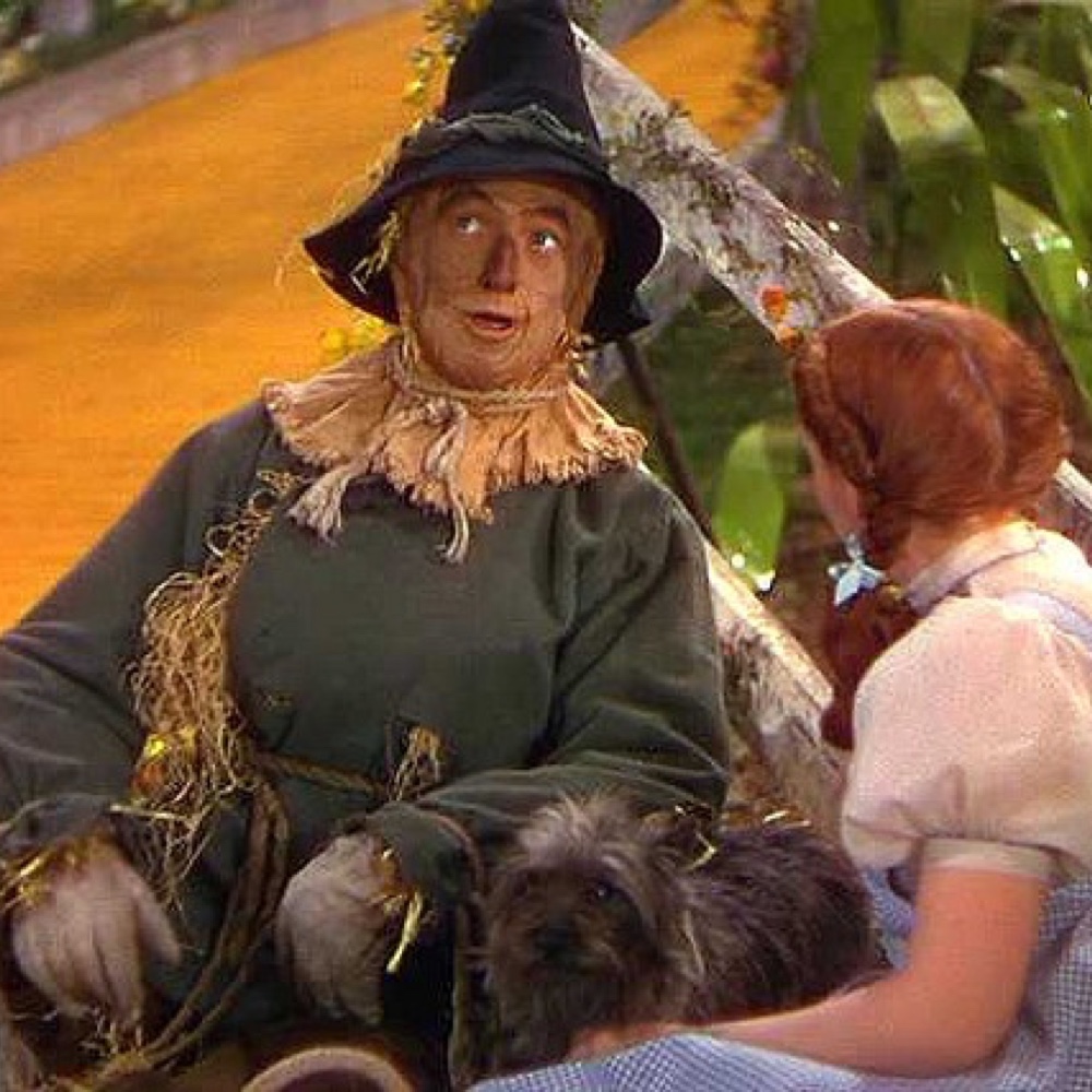 Scarecrow Costume - The Wizard of Oz - Fancy Dress - Cosplay - Tunic