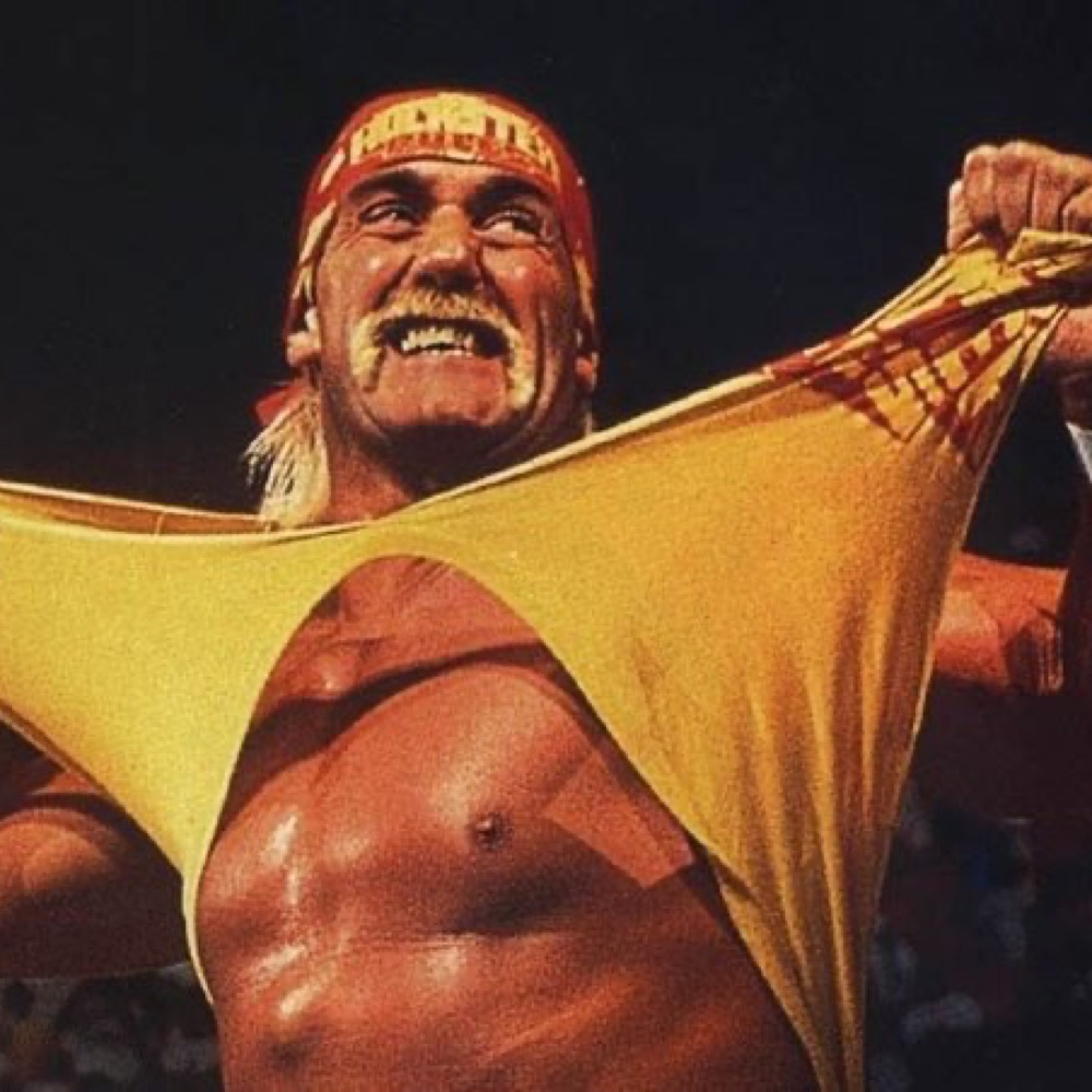 Hulk Hogan Costume - Fancy Dress - Cosplay - Vest - Shirt