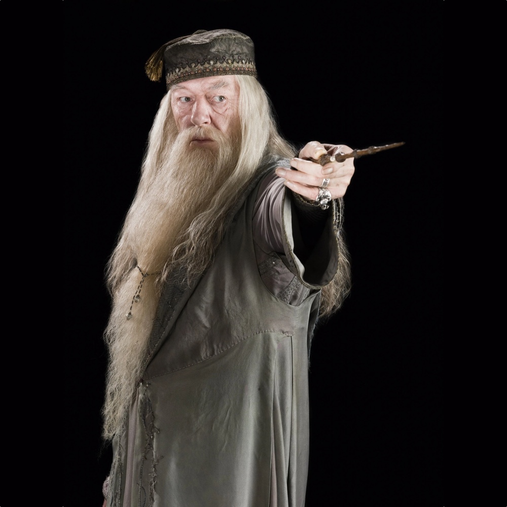 Albus Dumbledore Costume - Harry Potter Fancy Dress - Cosplay - Magic Wand