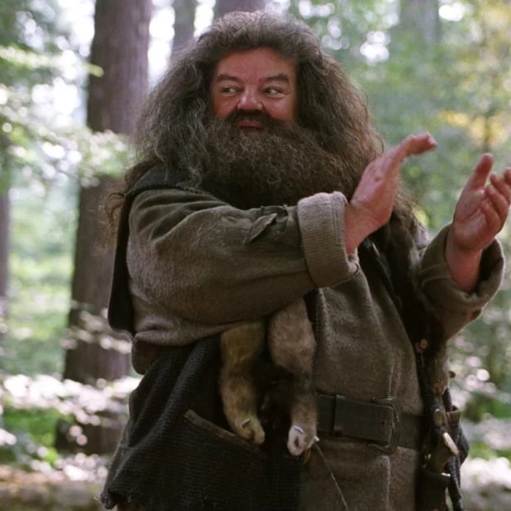 Rubeus Hagrid Costume - Harry Potter - Fancy Dress - Cosplay - Watering Can