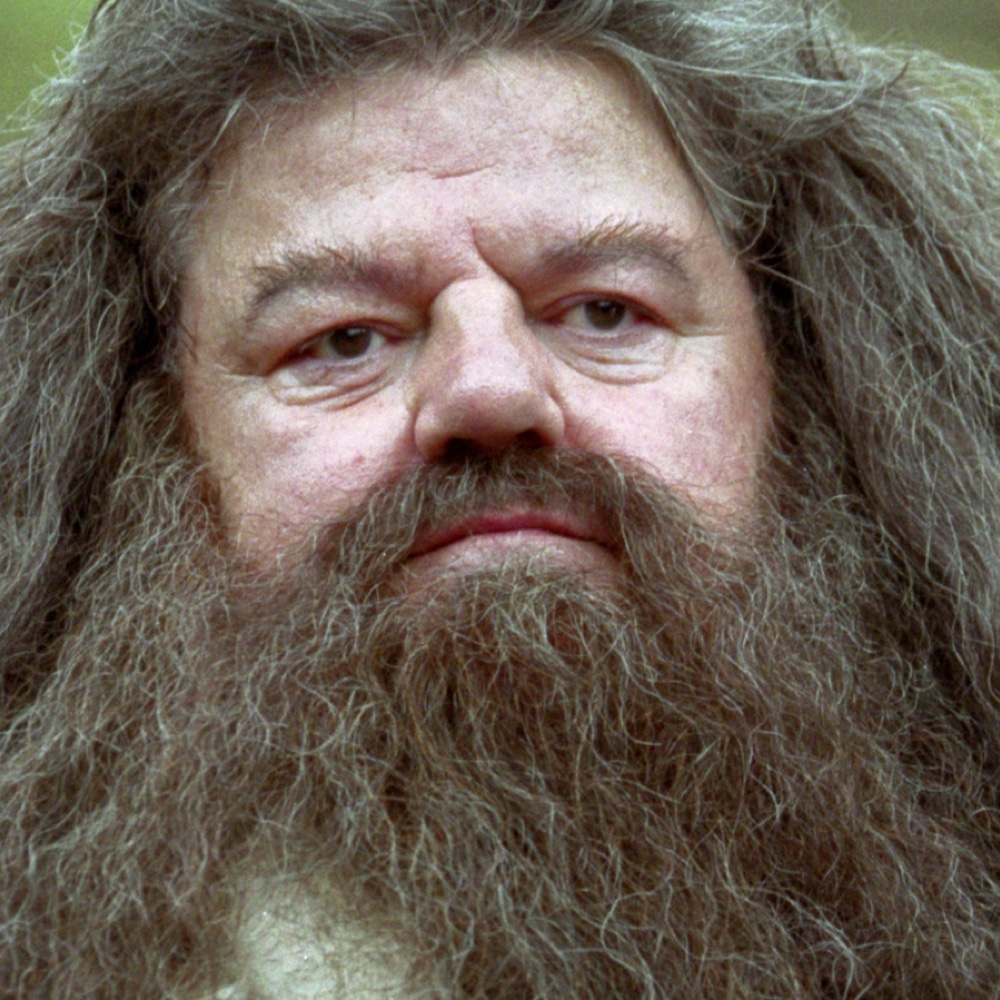 Rubeus Hagrid Costume - Harry Potter - Fancy Dress - Cosplay - Wig and Beard