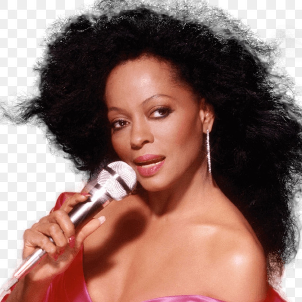 Diana Ross Costume - Fancy Dress - Style - Cosplay - Wig - Hair
