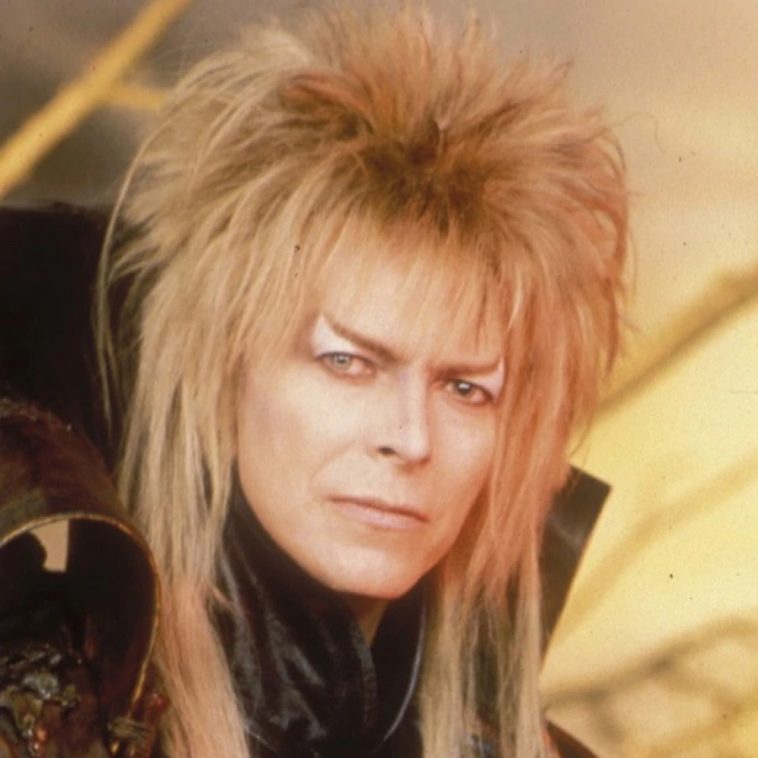 Jareth Costume - Labyrinth Fancy Dress