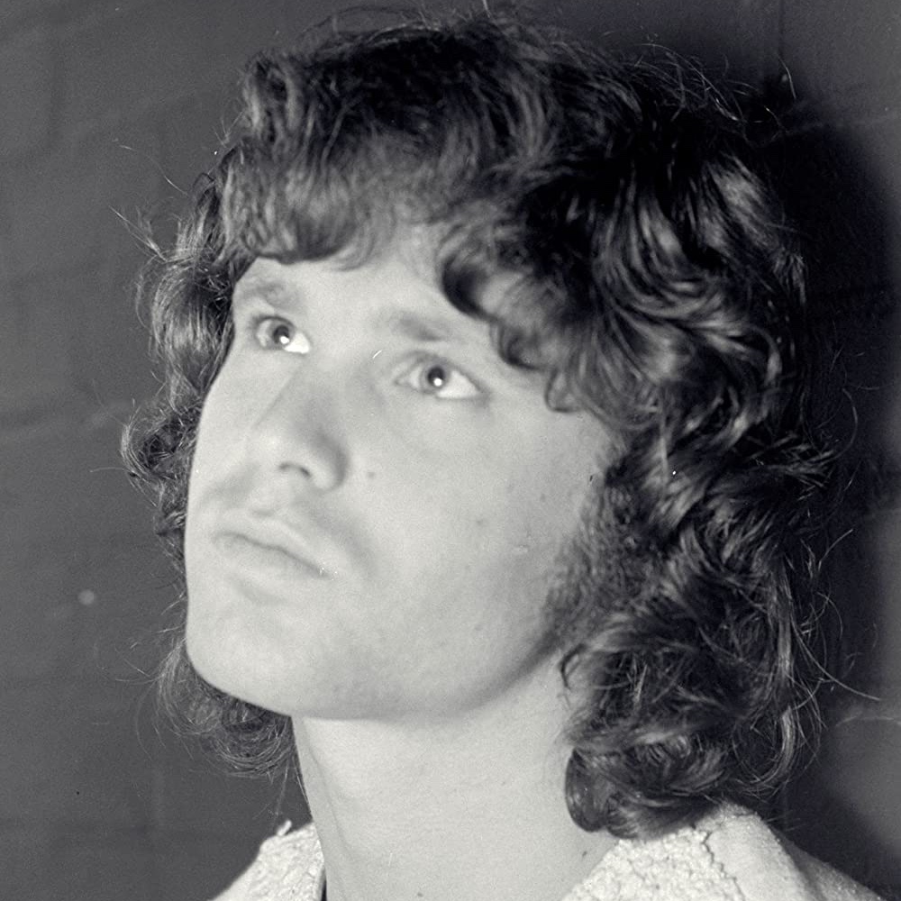 Jim Morrison Costume - The Doors Fancy Dress - Style - Wig