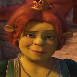 Princess Fiona Costume - Shrek Fancy Dress Ideas