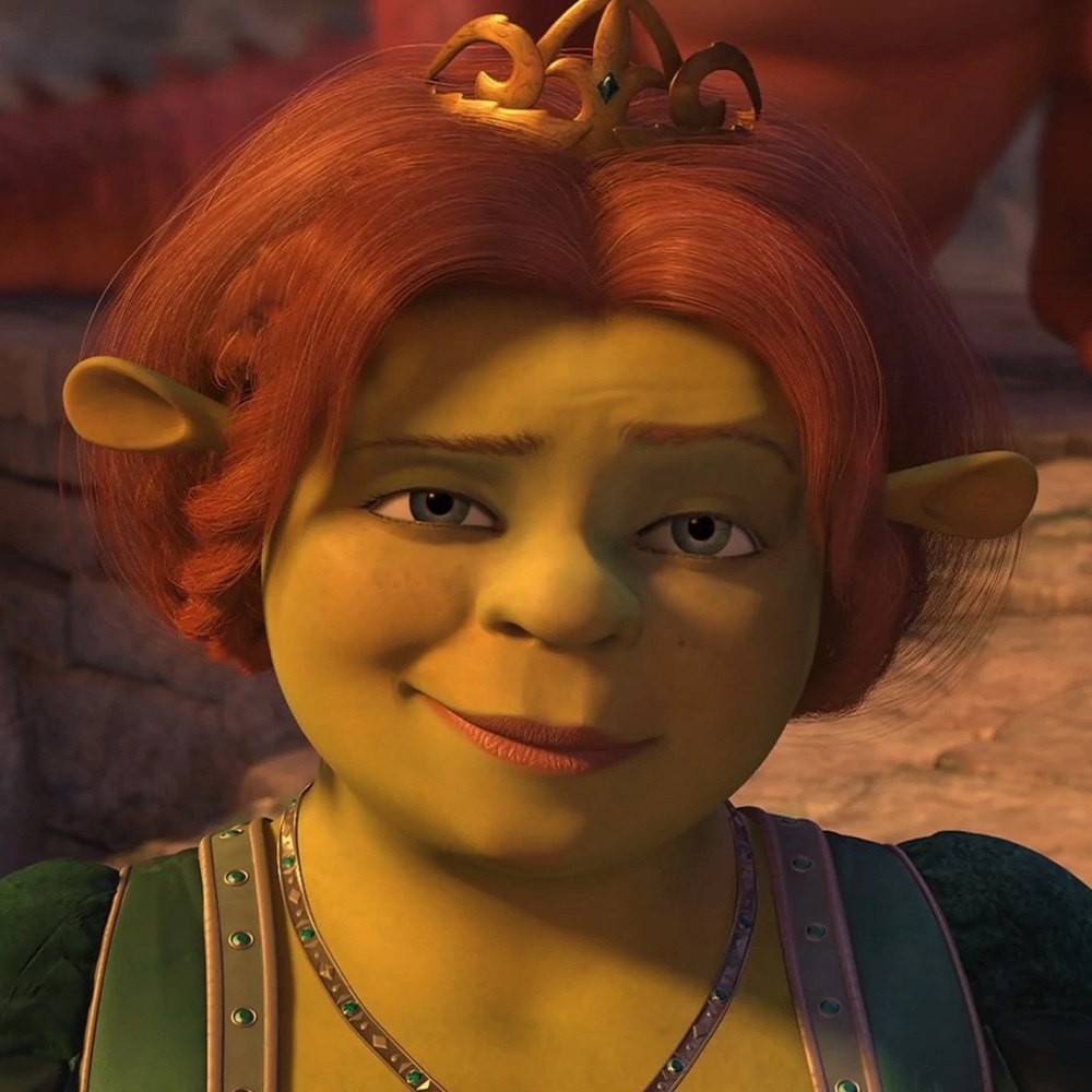 Princess Fiona Costume - Shrek Fancy Dress - Cosplay - Wig - Hairstyle