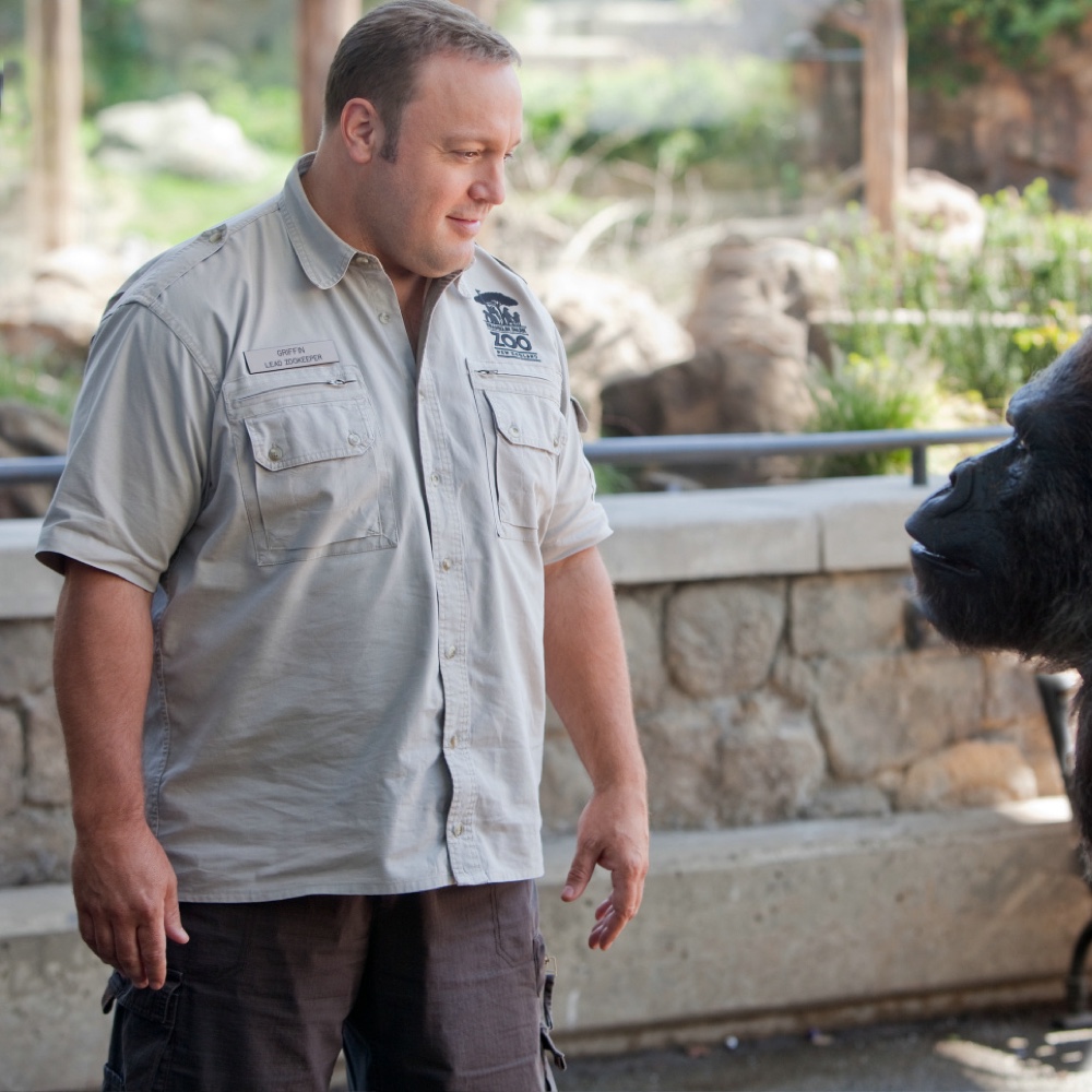 Zookeeper Costume Easy and Quick Fancy Dress Ideas