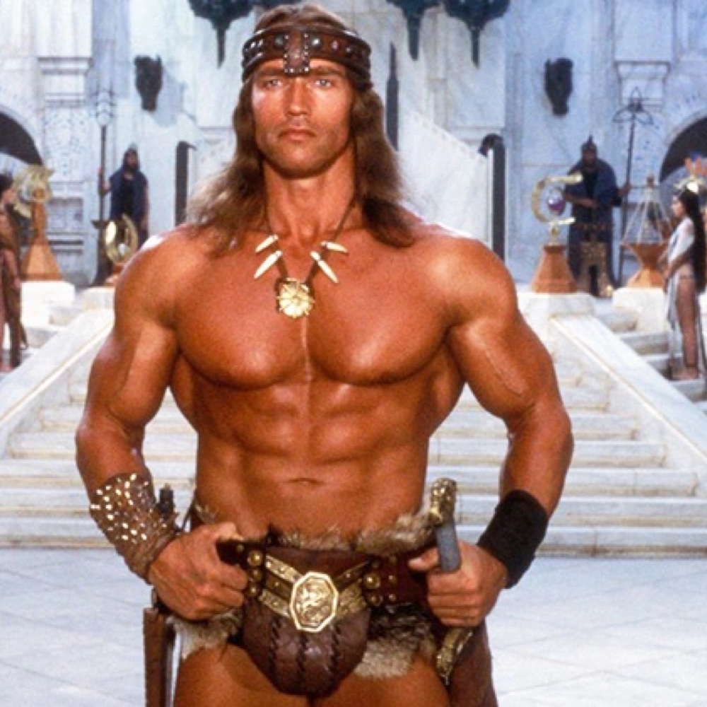 Conan The Barbarian Costume - Fancy Dress - Cosplay - Arm Guards