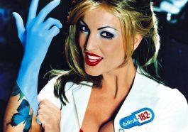 Blink 182 Nurse Costume - Janine Lindemulder - Fancy Dress - Cosplay - Album Cover