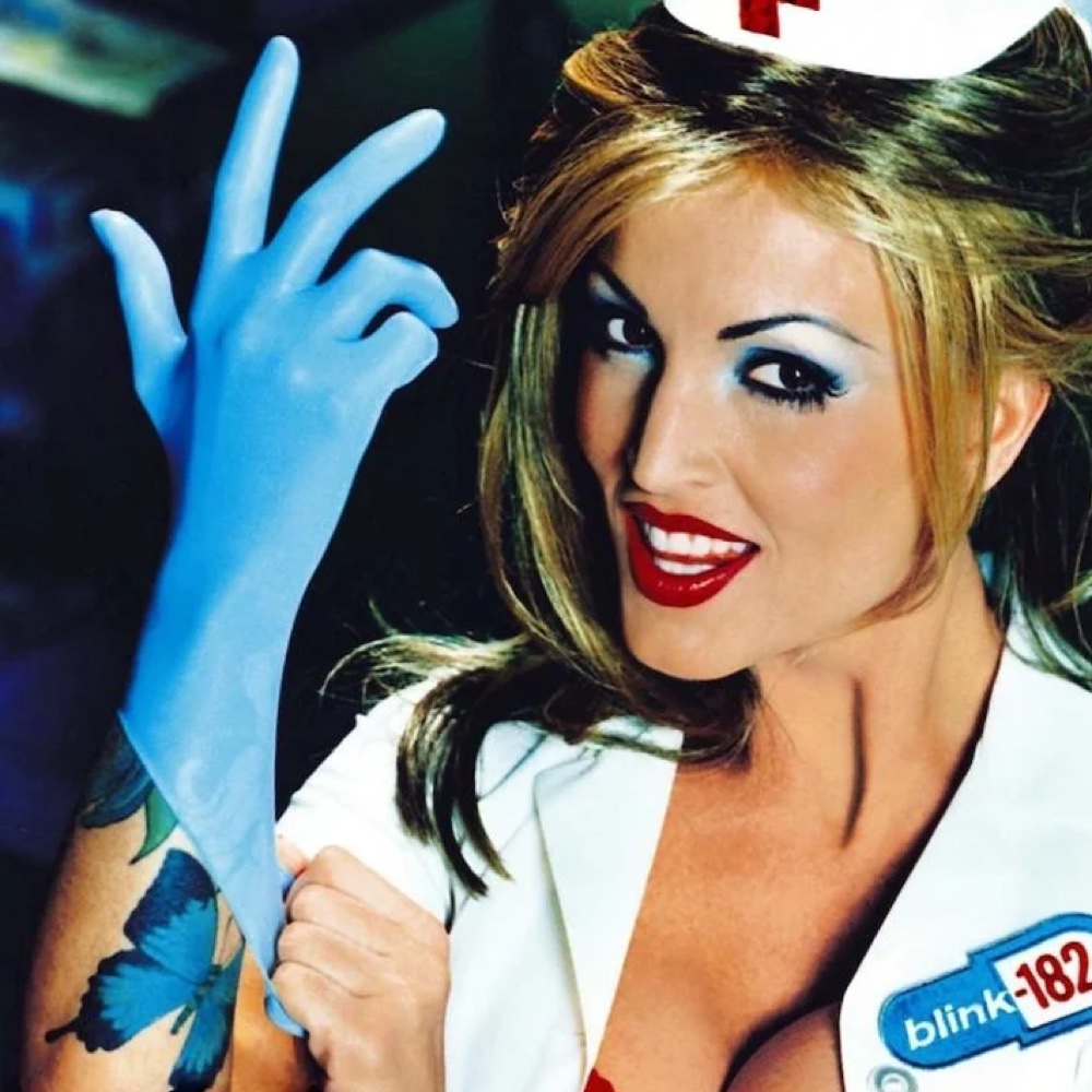 Blink 182 Nurse Costume - Janine Lindemulder - Fancy Dress - Cosplay - Album Cover - Rubber Glove