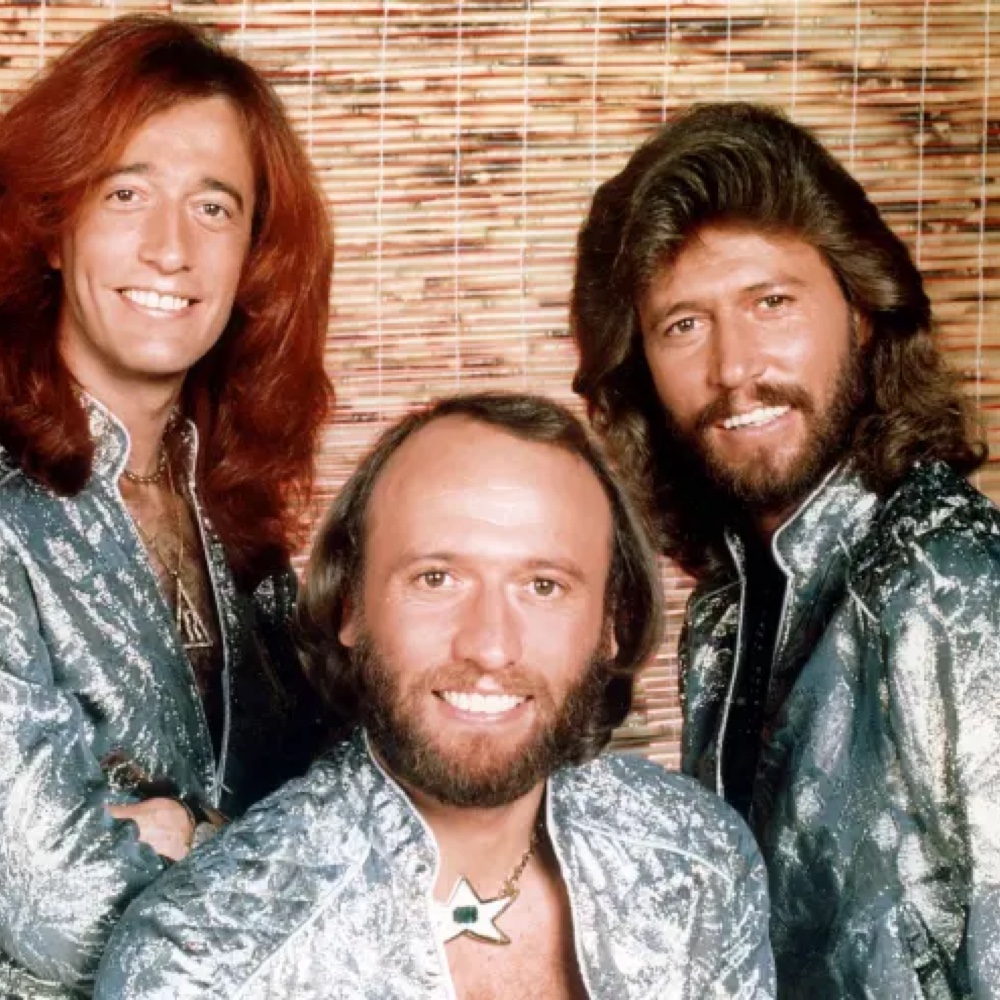 Bee Gees Costume - Fancy Dress - Disco - Cosplay - Long Hair Wig