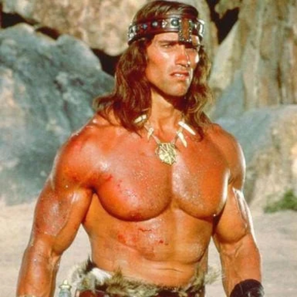 Conan The Barbarian Costume - Fancy Dress - Cosplay - Muscle Shirt