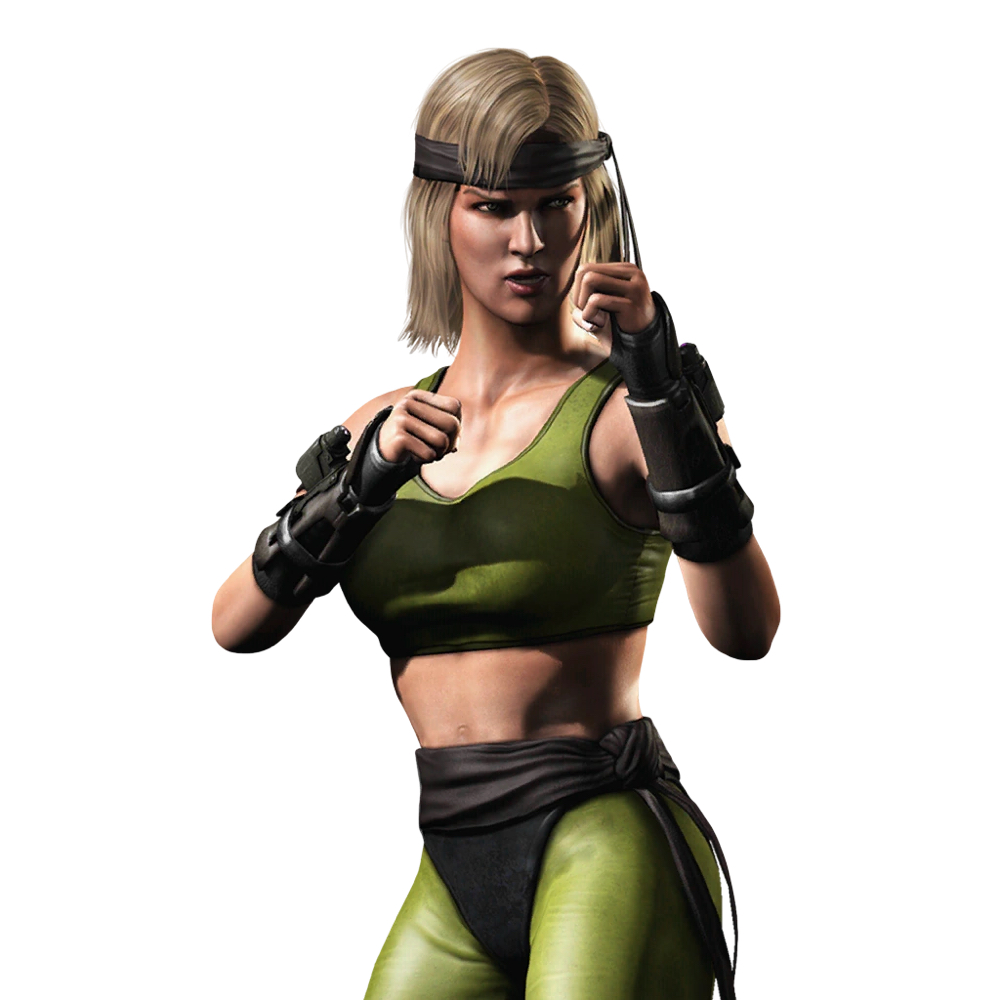 Sonya Blade Costume - Mortal Kombat Fancy Dress - Video Game Cosplay - Ribbon