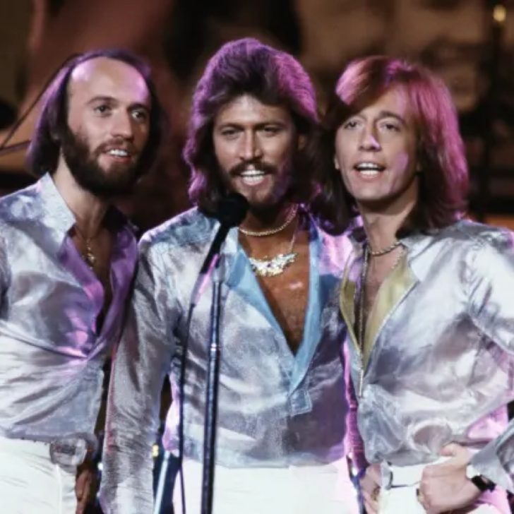 Bee Gees Costume Fancy Dress Ideas for Groups