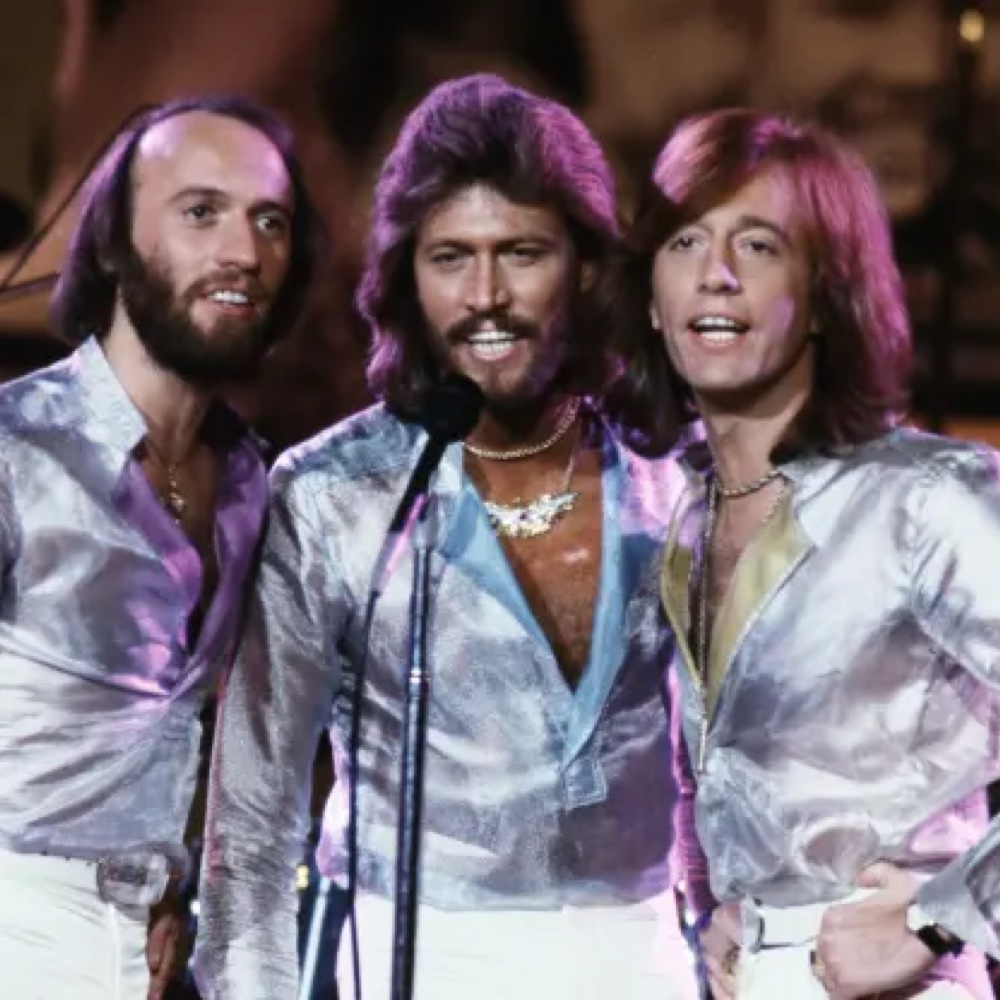 Bee Gees Costume - Fancy Dress - Disco - Cosplay - Shirt
