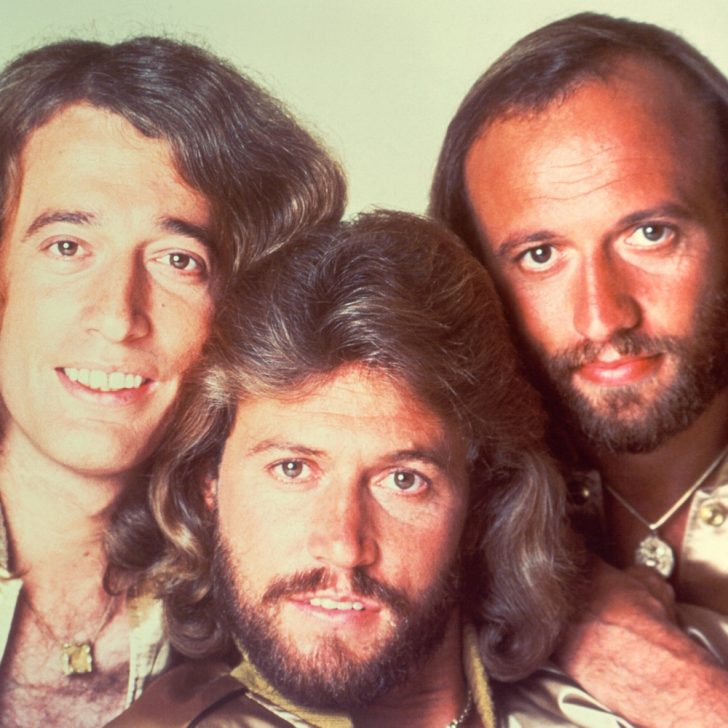 Bee Gees Costume - Fancy Dress Ideas for Groups