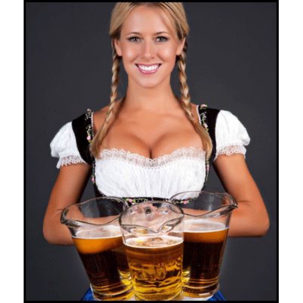 Beer Girl / Beer Wench Costume - Fancy Dress - Cosplay - Blouse