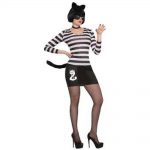 Cat Burglar Costume - Sexy Fancy Dress Ideas for a Party and Halloween